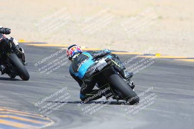 media/Mar-10-2024-SoCal Trackdays (Sun) [[6228d7c590]]/9-Turn 8 Backside (1150am)/